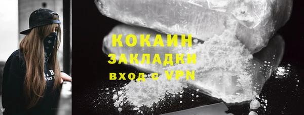 шишки Киренск