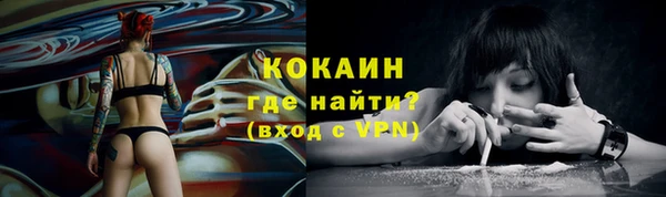 шишки Киренск