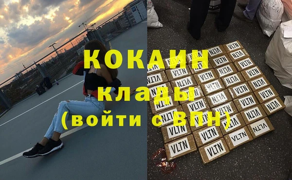 шишки Киренск